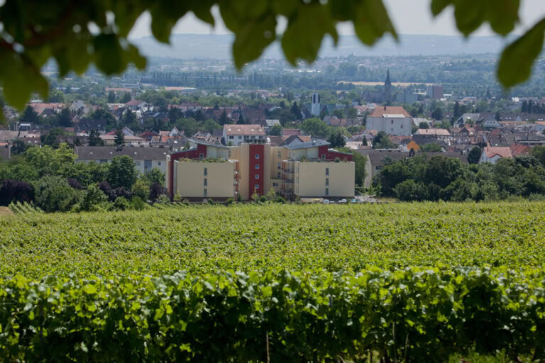 Bingen-Impr-3