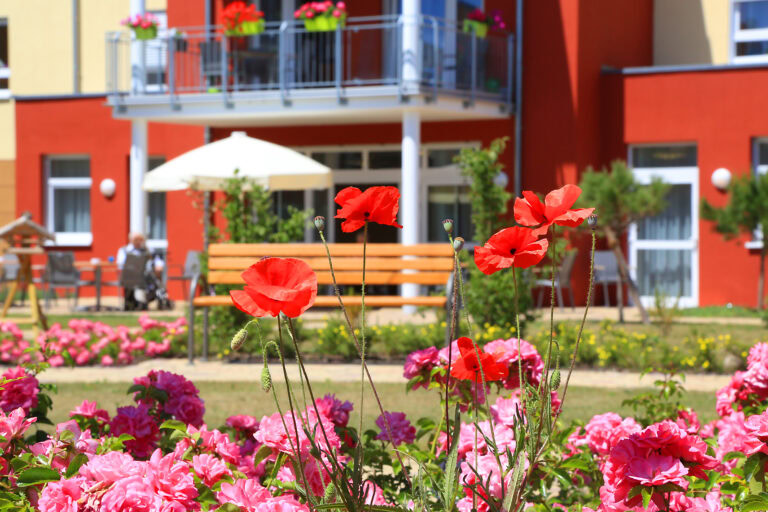 Römergarten_Offenbach-0007